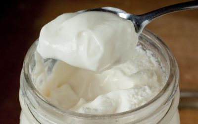 Házi joghurt