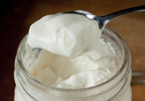 Házi joghurt